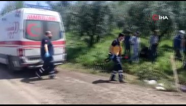 Bursa'da araç zeytinliğe daldı