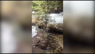 Uludağ'a bahar geldi