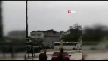 Bursa'da atı arabaya bağlayan sürücüye ceza yağdı
