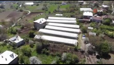 Bursa'nın köylü kadınları tohum yetiştiriyor