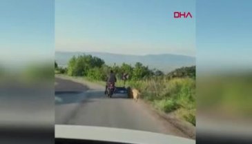 Manisa'da köpeğini motosikletin arkasına bağlayıp koşturdu