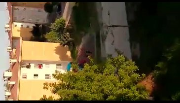 Bursa'da köpek sayısındaki anormal artış -2