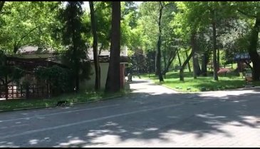 Bursa'nın o parkında motosikletli sürücüler cirit atıyor (ÖZEL HABER)&nbsp;