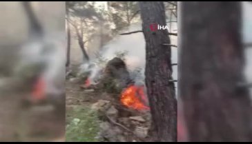 Alanya'da orman yangını
