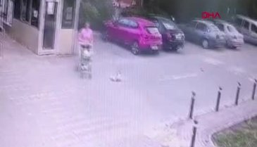 İstanbul'da köpeğe tekme attı