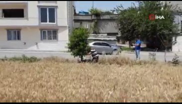 Bursa'da sokak sokak gezip her yere fidan dikiyor