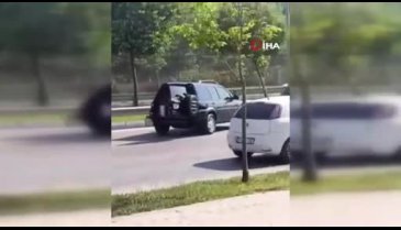 Bursa'da kadın sürücü, çarptığı köpeği ağlayarak veterinere yetiştirdi