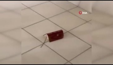 Kur'an-ı Kerim'e büyük saygısızlık