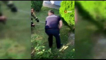 Bursa'da yılan şoku! Site bahçesinde bulundu