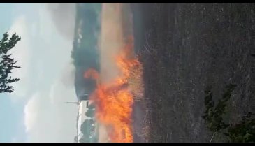 Bursa Demirci'de yangın