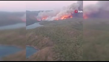 Muğla'da Marmaris ilçesinde büyük orman yangını