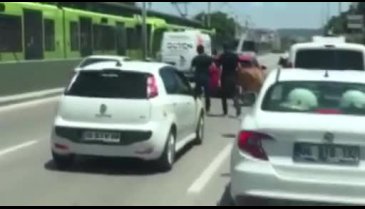 Bursa'da kaçan boğalar trafikte ortalığı karıştırdı