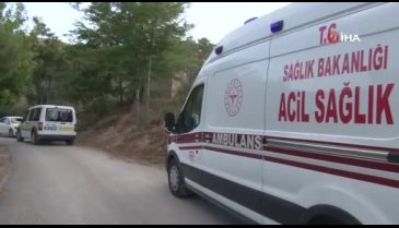 Mesire alanındaki görüntü kan dondurdu