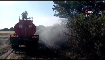 Çorlu ile Silivri sınırında çıkan yangında 500 dönüm buğday kül oldu
