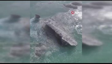 Alaska'da Cruise gemisi buzdağına çarptı