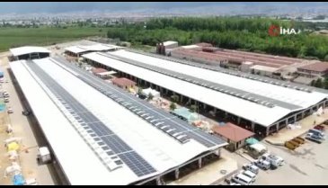 Koçlara kafa tutan keçi, Bursa hayvan pazarının ilgi odağı oldu