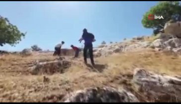 5 gün boyunca kayalık alanda mahsur kalan keçilerin yardımına AFAD koştu