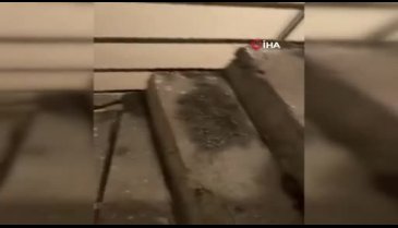 Keserle ev bastı! Küçük çocukların çığlığı dehşet anlarını ortaya çıkardı