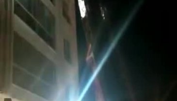 Bursa'da çıkan yangından hayvanlar kurtarıldı