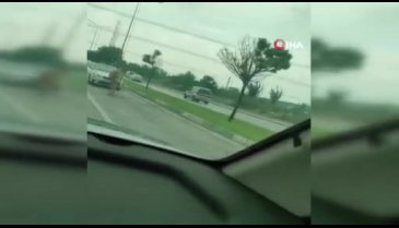Bursa'da kaçak kurbanlıklar trafiği birbirine kattı