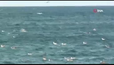 Tekirdağ'da fırtına etkili oldu