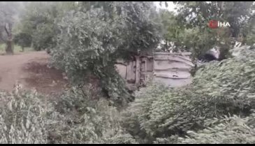 Bursa'da otomobil zeytinliğe uçtu: 3 yaralı