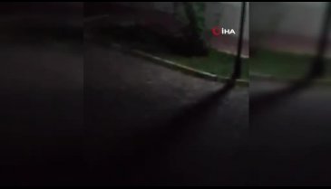 Bisiklet hırsızı balkondan kendisine fırlatılan tencereyi de çaldı