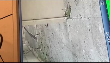 Bursa Güzelyalı'da motosiklet hırsızlığı