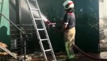 Mudanya Burgaz'da bağ evi yandı hayvanlar telef oldu