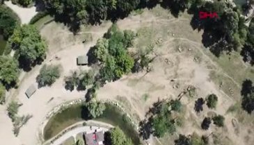 Bursa hayvanat bahçesinin yeni misafirleri: Beyaz gergedanlar