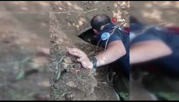 Yavrularıyla birlikte zifte yapışan köpek itfaiye ekipleri tarafından kurtarıldı