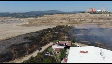 Bursa'daki yangında ölmek üzere olan kaplumbağa kurtarıldı