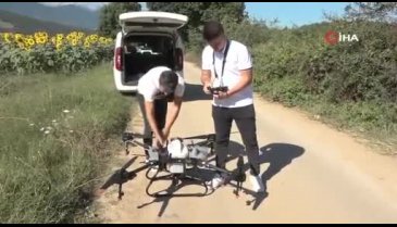Bursa Kestel'de çayır tırtılı istilasına dronlu önlem