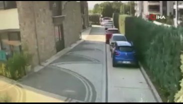 Bursa'da sürücü köpeği ezdi, aldırış etmedi