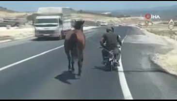 Bursa'da atı motosikletine bağlayarak götürdü