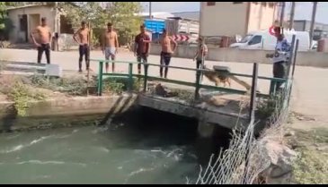 Bursalılar su kanallarında serinliyor