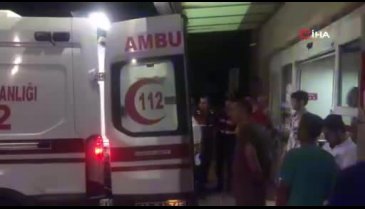 Geri itilen botta doğum yaptı