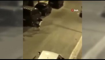 Sokak ortasında köpeğini dövdü