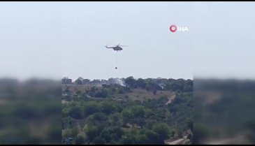 Bursa'da çalılık alanda çıkan yangın korkuttu