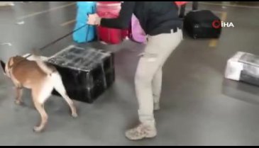 Ekmek makinesinde BAE'ye uyuşturucu hap taşırken polise takıldı