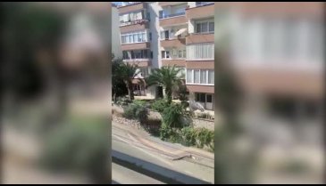 Bursa'da Mudanya'daki ağaç katliamı iddiasına Belediye'den yanıt