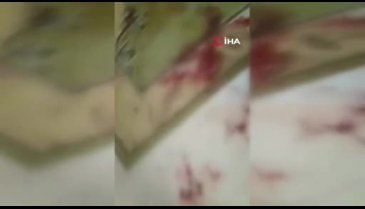 Yaşlı kadın akrabası tarafından 34 yerinden bıçaklandı