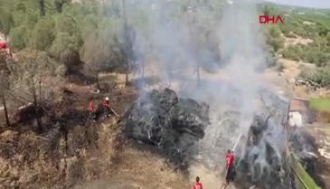Ormana yakın bölgede bulunan saman balyaları alev aldı