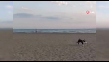 Bursa'da ayakkabı hırsızı köpeğin peşinden metrelerce koştu