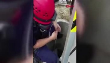 Yavru kedi 10 gün sonra kurtarıldı
