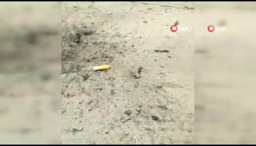 Pakistan'da askeri konvoya bombalı saldırı: 4 asker öldü
