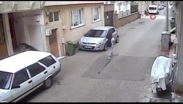 Bursa'da başıboş sokak köpeği kız çocuğunu ısırdı