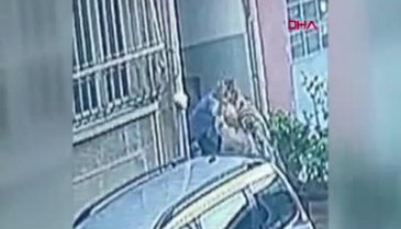 Bursa'da kediye tekme kavgası