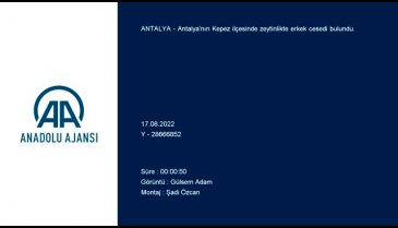 Zeytinlik alanda 23 yaşındaki gencin cesedi bulundu