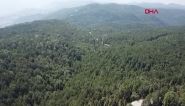Bursa'da Mangal yasağı piknikçileri küstürdü